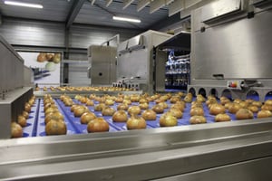 Finis Food Processing enhances value with IXON remote access.